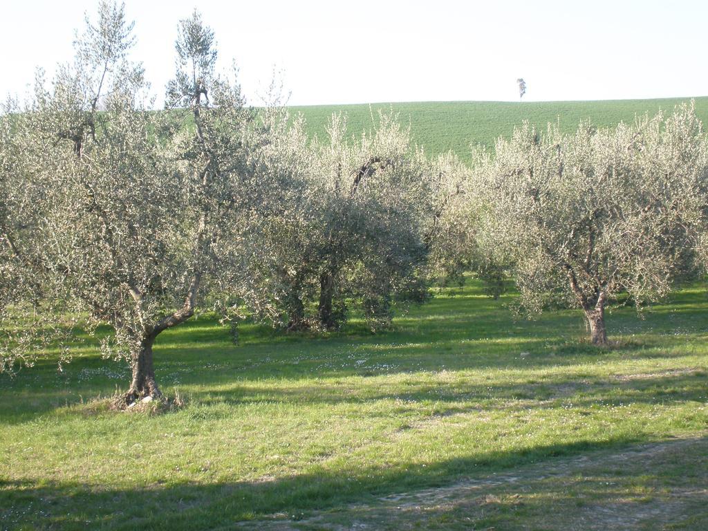 Locanda La Gozzetta Santa Luce Bagian luar foto